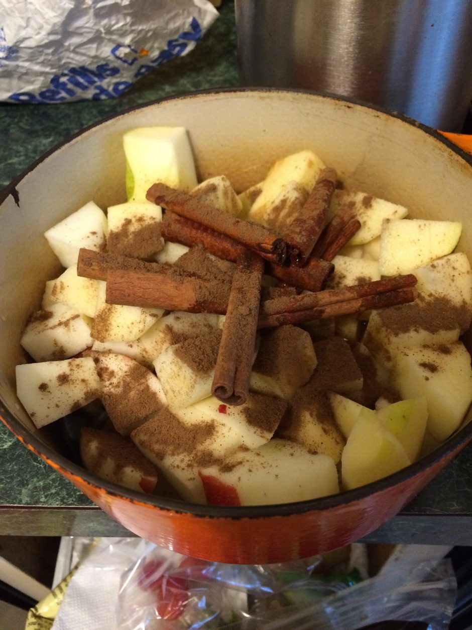A pot filled with sliced apples, cinnamon sticks, and spices ready for cooking.
